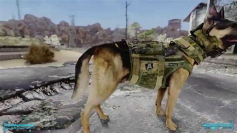 dog companion fallout new vegas